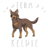 Team Kelpie - Brown und Tan