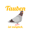Taube - Ein Leben ohne Tauben
