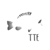 CARPETTE