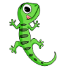 Gecko