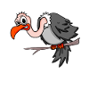 vulture