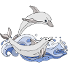 Dolphins