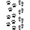 Dog paw