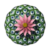 Psychedelic Peyote Cactus