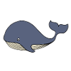 Whale Blue Whale Kids