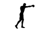 Boxing It's In My DNA