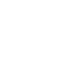 Chiave di violino Cantante Musica Danza Canto ECG