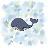 Whale blue whale