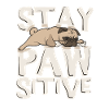 Stay Pawsitive Pug T-Shirt
