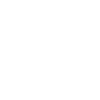 Diver