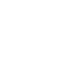 Car Auto