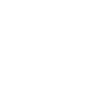 Car Auto
