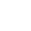 Car Auto