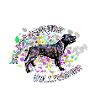Staffordshire Bullterrier Splash