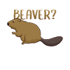 Bist du ein Biber?