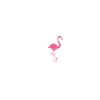 FLAMINGO HEARTBEAT