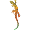 lizard