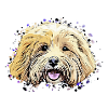 Havanese comic