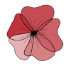 Coquelicot