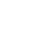 Painter