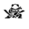 The ninja panda