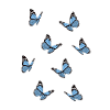 Schmetterlinge