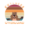 Quokka animal Australia