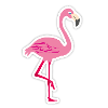flamingo