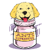 Golden Retriever Depression Pills
