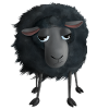 Sweet black sheep