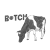 vache