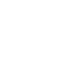 Car Auto