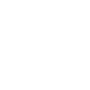 Car Auto