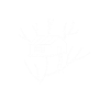 Tree house