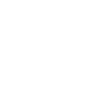 Car Auto