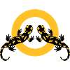 Fire Salamander Forever !!!