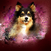 Sheltie,hund,graffiti, Malerei,collie, Aquarell