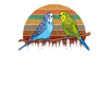 Budgie parakeet