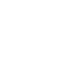 Snowmobile ski doo