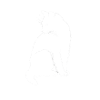 Cat Outline