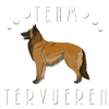 Team Tervueren