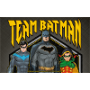 Batman Team Nightwing and Robin