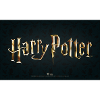 Harry Potter Logo Movie Gold