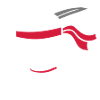 Épée métallique ninja