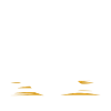 Ragdoll Cat