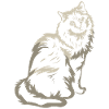 Ragdoll Cat