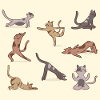 Gatos patrón yoga meditar meditación cartel