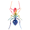 Ant