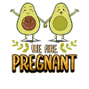Pregnancy We're Pregnant Avocado Baby