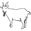 Goat outline